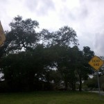 Dead end